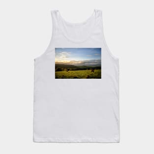 Cattle graze during a sunset looking towards the Trossachs, Scotland Tank Top